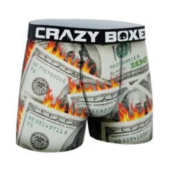 Men's Dollars Boxer Briefs -Crazy Boxer CBALS0101DOLA 3
