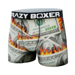 Men's Dollars Boxer Briefs -Crazy Boxer CBALS0101DOLA 4