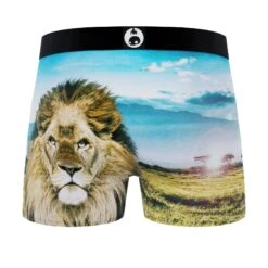 CRAZYBOXER Outdoor Lion Bear Men's Boxer Briefs (3 Pack) -Crazy Boxer CBALS0101X3C2 6