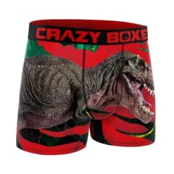 CRAZYBOXER T-Rex Kid's Boxer Briefs -Crazy Boxer CBAMA03TREX 2