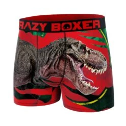 CRAZYBOXER T-Rex Kid's Boxer Briefs -Crazy Boxer CBAMA03TREX 3