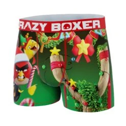 CRAZYBOXER Angry Birds Kid's Boxer Briefs -Crazy Boxer CBANG01XMA2 4