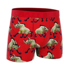 CRAZYBOXER Disney Hyen Men's Boxer Briefs -Crazy Boxer CBDIS0108HYEN 3