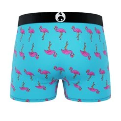 CRAZYBOXER Mini Flamingo Cactus Men's Boxer Briefs (2 Pack) -Crazy Boxer CBMIN0101X2A1 2
