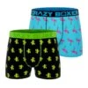 CRAZYBOXER Mini Flamingo Cactus Men's Boxer Briefs (2 Pack)