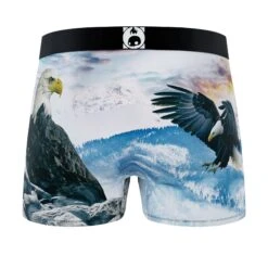 CRAZYBOXER Men's Boxer Briefs Wild American Flag And Eagle (2 Pack) -Crazy Boxer CBOUT01X2A1 7